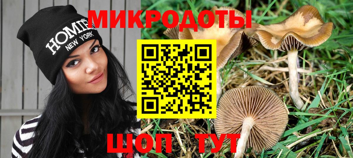Псилоцибиновые грибы Psilocybine cubensis Арзамас